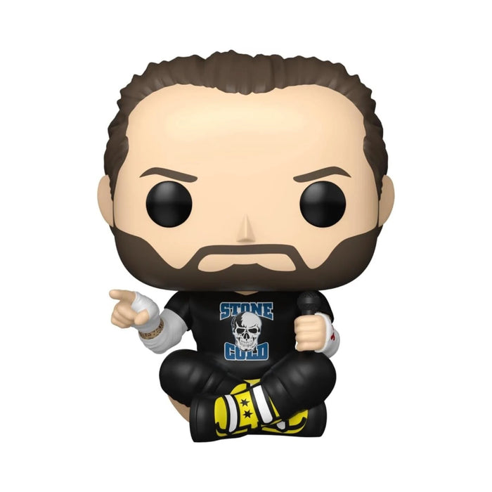 Funko_Pop_Bruce_WWE_CM_Punk