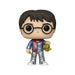 Funko_Pop_Harry_Potter_Metallic