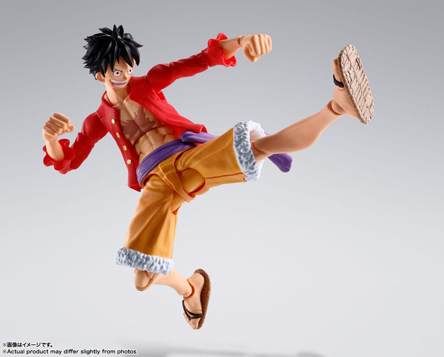 One Piece - Monkey D. Luffy | Vinyl Figur