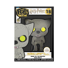 Load image into Gallery viewer, Funko_PIN_Harry_Potter_Remus_Lupin
